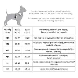 Шлея для собак м'яка Waudog Clothes з QR паспортом NASA, XS3,32-35х22-24 см - мініатюра 3