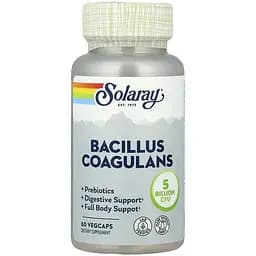 Пребіотики Solaray Bacillus Coagulans 5 Billion CFU 60 веганських капсул
