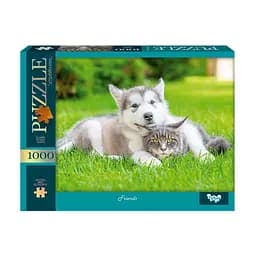 Пазл Друзі C1000-13-05, 1000 елементів