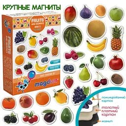 Магнітний набір Magdum Фрукти і ягоди (ML4031-11) - мініатюра 5