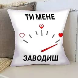 Подушка 3D Спідометр мого кохання 4393_E 17853 50х50 см