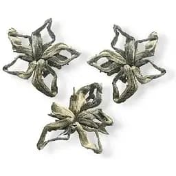 Чай білий Діамантовий Дракон Квітка сливи ж/б 50 г