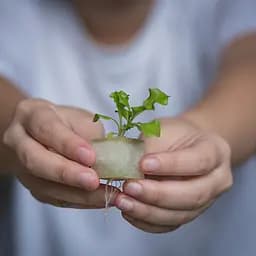 Vegebox™ by BioChef Table Box набір садовий для гідропоніки - мініатюра 6