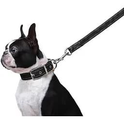 Повідець Dog Extreme з нейлону подвійний (ширина 20мм, довжина 122см), чорний - мініатюра 4
