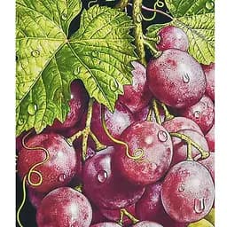 Алмазна мозаїка Грона багатства HEG87076 30х40 см