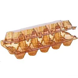 Упаковка коричнева пластикова під курячі яйця на 10 шт. ПС-3610 50 шт/уп.