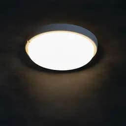 Світильник Miledo Tolu O LED 9W-NW-W герметичний (31497) - мініатюра 4