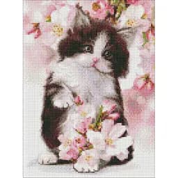 Алмазная мозаика Пушистый котенок AMO7577 30х40 см