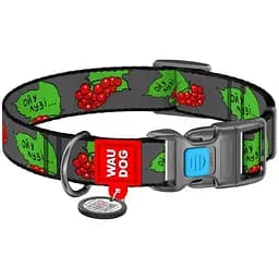 Нашийник для собак Waudog Nylon Калина, з QR-паспортом, пластиковый фастекс, M, 24-40х2 см