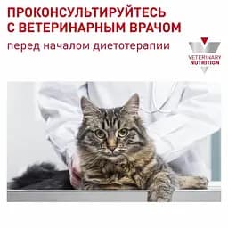Консервований корм для дорослих котів Royal Canin Neutered Maintenance з моменту стерилізації до 7 років, 85 г (40890019) - мініатюра 5