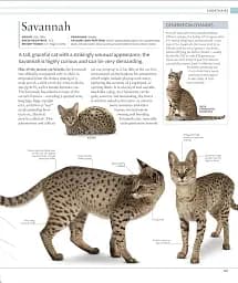The Cat Encyclopedia - мініатюра 7