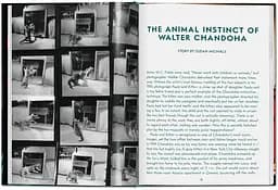 Walter Chandoha. Cats. Photographs 1942-2018 - мініатюра 2