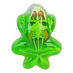 Дитячий лабораторнний набір Жаба Bambi 801B, скелет, внутрішні органи