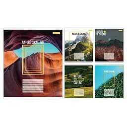 Зошити учнівські 48 аркушів лінія 1B Nature is calling, 10 шт. в упаковці