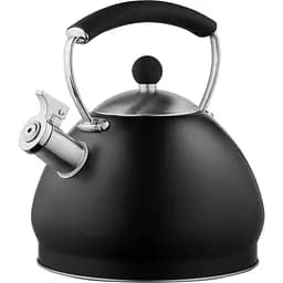 Чайник Ardesto Black Mars чорний 3 л (AR0748KS)