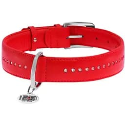 Нашийник для собак Waudog Glamour, подвійний зі стразами, шкіряний, з QR паспортом, 46-60х3,5 см, червоний