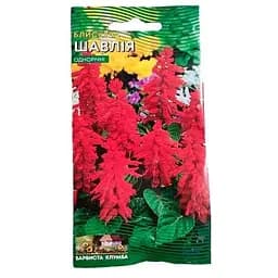 Сальвия блестящая Весна 0.1г (13069)