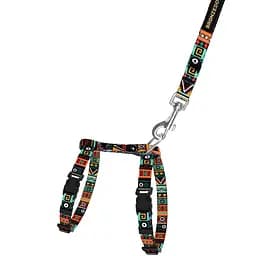 Шлея для кошек и собак мелких пород BronzeDog Urban Этническая с нашивкой и поводком XS 18-27 см ментол