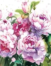 Альбом UFO PP-46200 Amely 10х15х200см (PP-46200 Amely)