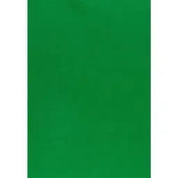 Набор фетра Santi жесткий 21 х 30 см 10 листов ярко-зеленый (742933)