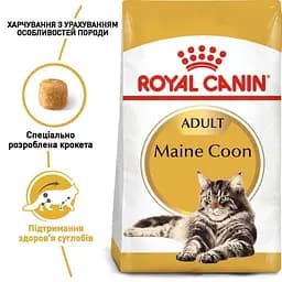 Сухий корм для дорослих котів мейн-кун Royal Canin Maine Coon Adult, з м'ясом птиці, 0,4 кг - мініатюра 2