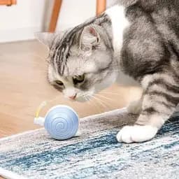 Розумний м'ячик для котів Cheerble Wicked Snail CWJ02 Blue [150915] - мініатюра 2