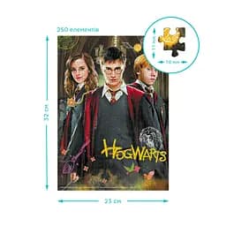 Пазл класичний Harry Potter. Гаррі та друзі 200498, 250 елементів - мініатюра 5