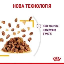 Набір вологого корму  для дорослих котів Royal Canin Sensory Smell Jellyшматочки в желе 1.02 кг (12 шт. х 85 г) - мініатюра 4