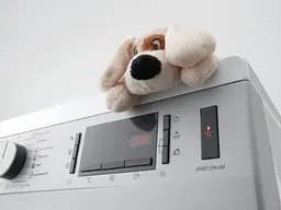 Пральна машина Gorenje з фронтальним завантаженням WHE60SFS, 6кг, 1000, A+++, Пар, глибина 46см, Дисплей, Білий (WHE60SFS) - мініатюра 2