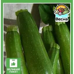 Семена Весна Кабачок Ранний красавец Большой пакет 5 г (32628)