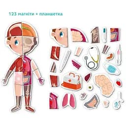 Магнітна гра DoDo Тіло (200200) - мініатюра 2