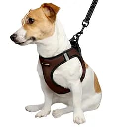 Шлея для собак Bronzedog Sport Vest M 24х18х3 см коричнева - мініатюра 3
