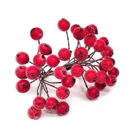 Декоративна Калина цукрова для творчості Bambi KC-20, 12 мм