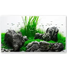 Фон двухсторонний Amtra Amazonia 30х60 см