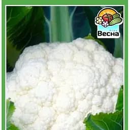 Семена Весна Капуста цветная Четыре сезона 0.3 г (19082)
