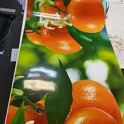 Кухонний фартух Мандарини ПВХ наклейка цитруси помаранчеві апельсини Зелений 60х200 см Happy Pocket Z180800 - мініатюра 8