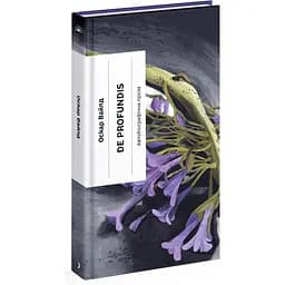 De Profundis. Послання: в ув’язненні та кайданах. Оскар Уайльд (525637)