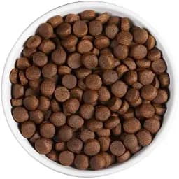 Сухий корм Ambrosia Grain Free для дорослих собак усіх порід з куркою та свіжим лососем 2 кг - мініатюра 2
