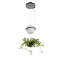 Люстра Brille светодиодная подвесная с растениями 20W NW BK (BL-992S/1)