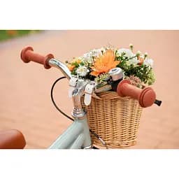 Дитячий велосипед Miqilong RM ATW-RM12-BEIGE 12" Бежевий - мініатюра 10