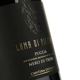 Вино Lama Di Pietra Nero Di Troia червоне сухе 0.75 л - мініатюра 3