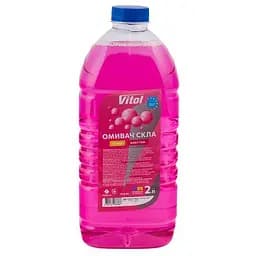 Омивач скла літній VITOL Бабл Гам 2л