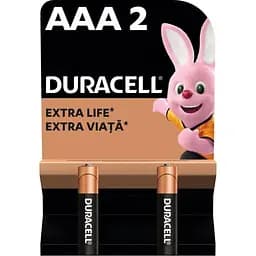 Батарейки DURACELL Basic 77133 AAA1.5V LR03 2 шт на блистере