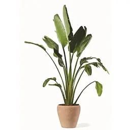 Вазон TeraPlast Volterra Galestro 48 см (18188048500)