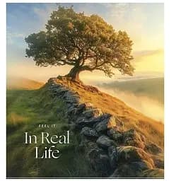 Зошит учнівський "Fill it" Star 036-3538K 36 аркушів Різнокольоровий