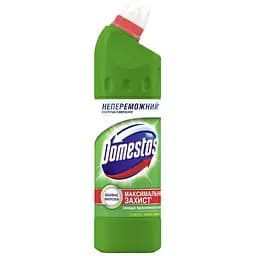 Жидкость для чистки ванн Domestos Максимальная Защита Хвойная свежесть 24 часа 750 мл (8720181679056)