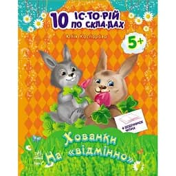 Книжка 10 історій по складах з щоденником Хованки на відмінно С271019У