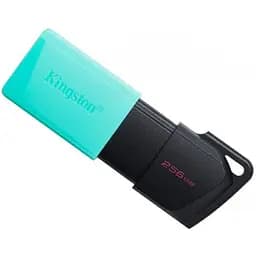 Флеш Kingston Exodia M 256 ГБ Black/Teal (DTXM/256GB)