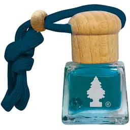 Ароматизатор воздуха Little Trees Bottle Спорт 4.5 мл (C02)