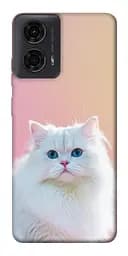 Чохол Demsky Pastel kitty для Motorola Moto G24